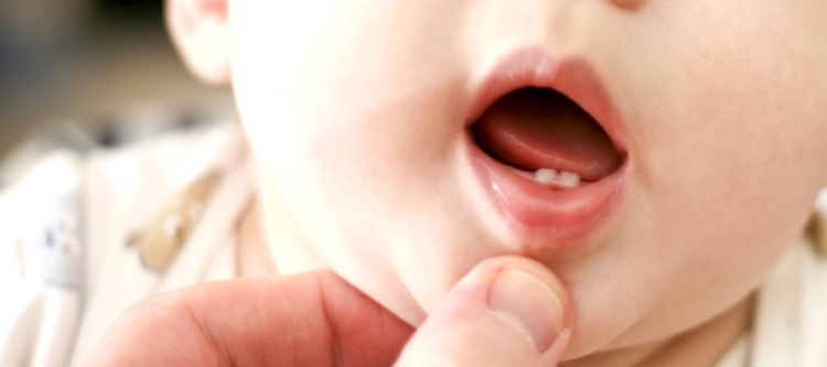 сроки прорезывания молочных зубов у детей