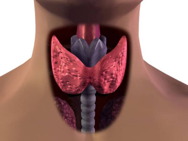 Заболевания щитовидки и из-за этого воняет изо рта ацетоном