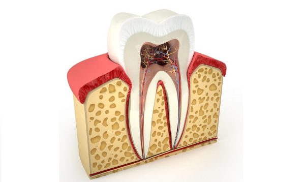 Эндодонтическое лечение зубов – что это такое и как проводится