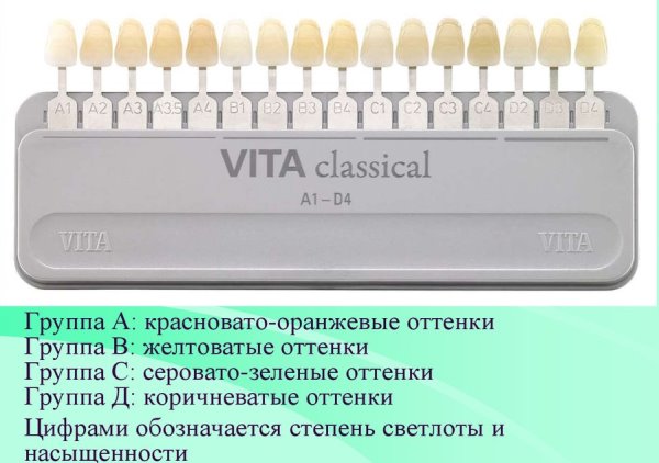 Шкала вита цветов зубов фото