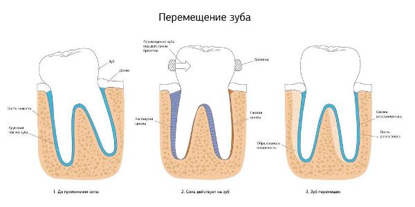 Какие происходят процессы