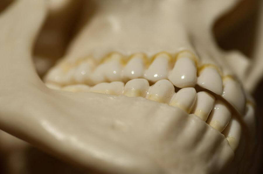 Лечение щелкает челюсть при открытии рта лечение в домашних условиях thumbnail